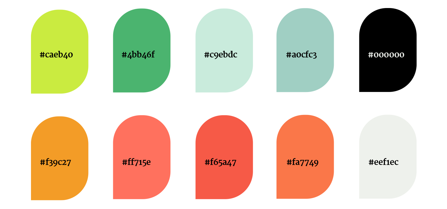 brand_colors
